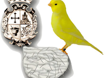 logo ornitologico silvestrista