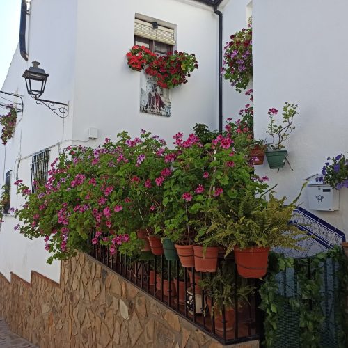 El Ayuntamiento ofrece cal gratuita para embellecer las fachadas del municipio