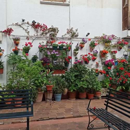 Acta.- 26 Años embelleciendo fachadas y rincones en Martos, 2026