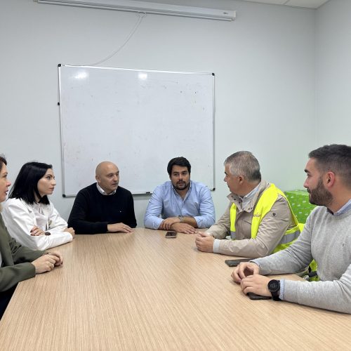 Visita institucional a la empresa Tecolsa