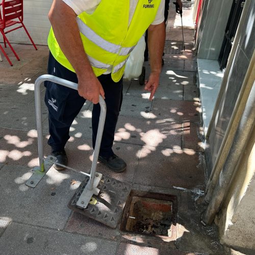 El Ayuntamiento presenta el balance anual de los servicios de control de plagas y palomas