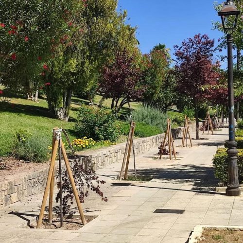 Actos vandálicos en el parque Manuel Carrasco