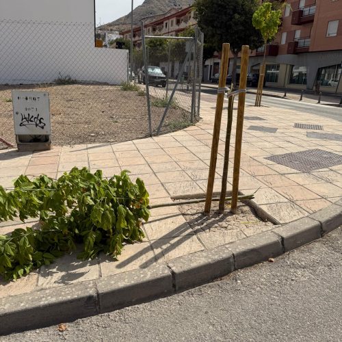Arrancan un árbol cerca de la Vía Verde