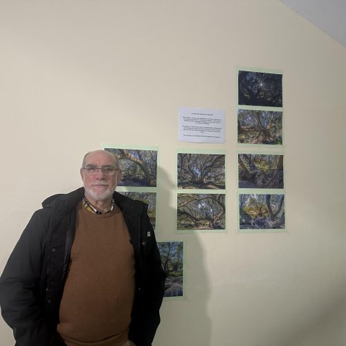 La primera exposición de olivos singulares de Martos, de Abelardo Olmo, inaugura la programación de la XLV Fiesta de la Aceituna