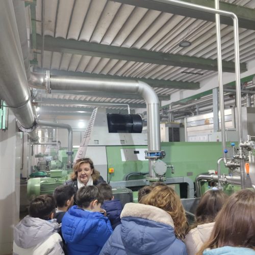 Escuela Municipal de los aceites de oliva vírgenes