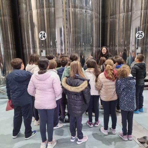 Escuela Municipal de los aceites de oliva vírgenes