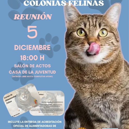 Charla sobre la alimentación de las colonias felinas