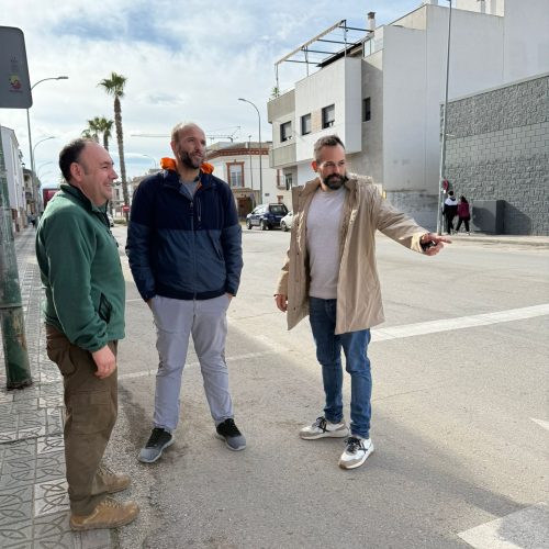 El Ayuntamiento inicia la plantación de árboles en la Avenida Olivares para mejorar la sombra y la calidad ambiental