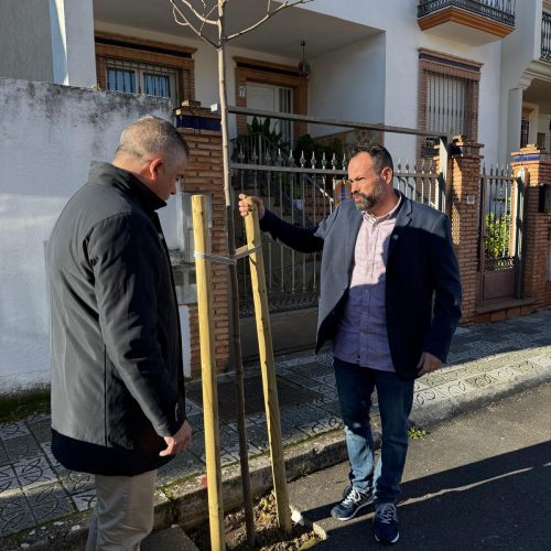 Compromiso municipal por incrementar las zonas verdes y paseos de sombra en la localidad