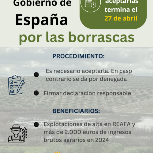 Ayudas del Gobierno de España para paliar los efectos de las borrascas