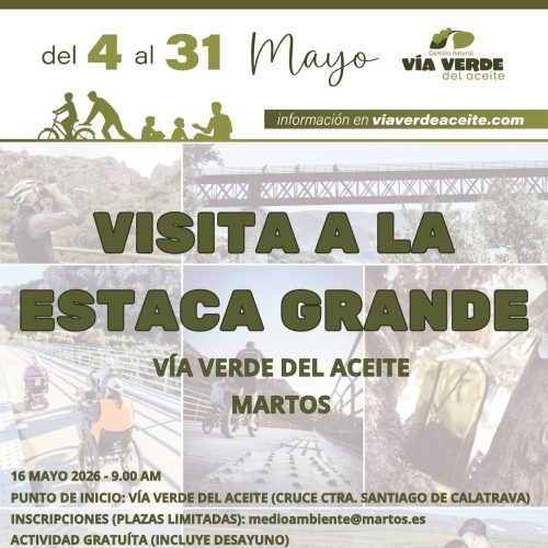 Visita a la Estaca Grande
