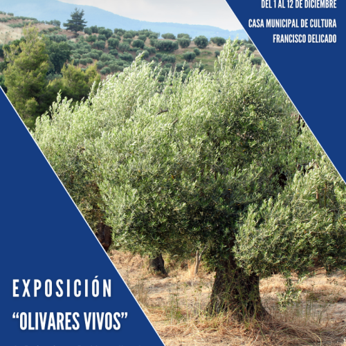 Exposición ‘Olivares vivos’, I.E.S. San Felipe Neri