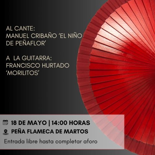 Tradicional Velada Flamenca con la canción española