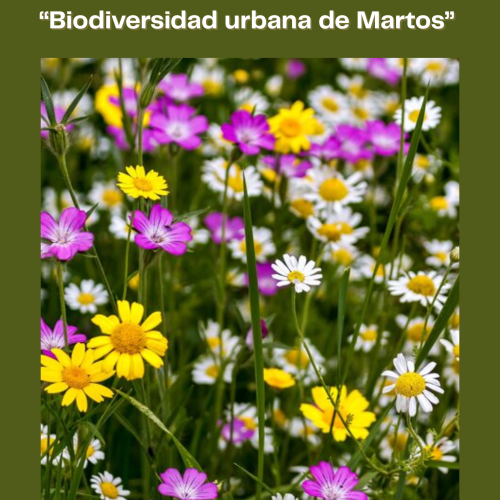 El Ayuntamiento convoca el XXI Concurso de Fotografía sobre Medio Ambiente dedicado a la biodiversidad urbana