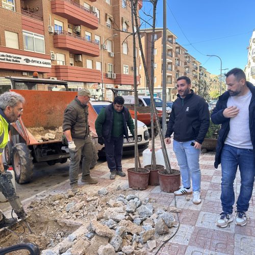 El Ayuntamiento realiza la plantación de arbolado en diversas zonas de la localidad