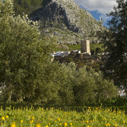 Martos se adherirá a la Plataforma Inteligente de Destino