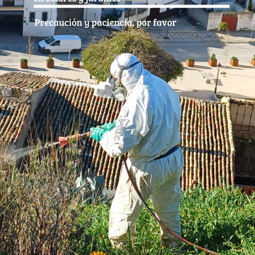 Tratamientos para controlar las malas hierbas en solares y jardines