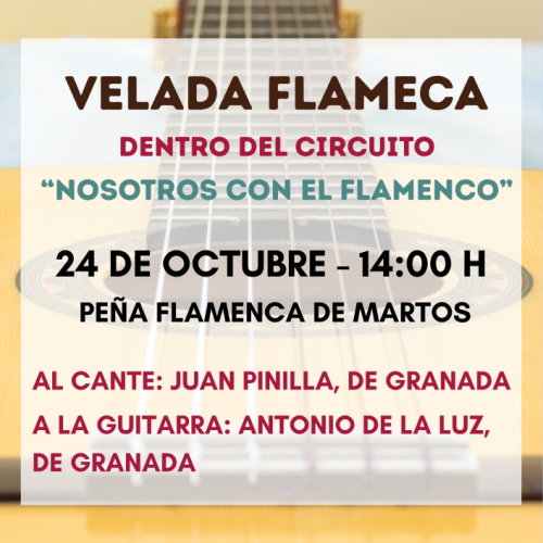 Velada flamenca