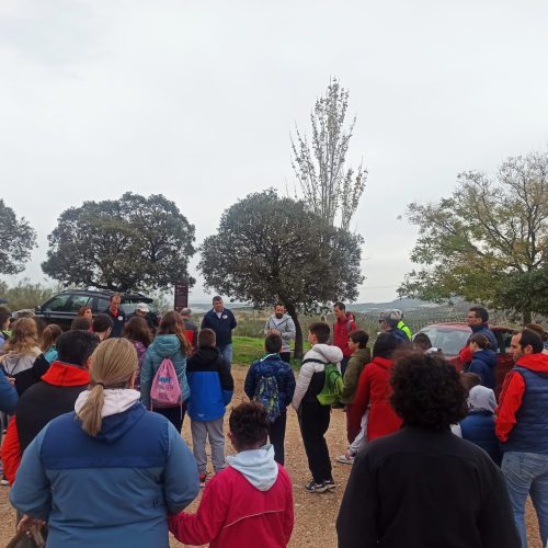 Plantación de 120 encinas en la Fortaleza Alta