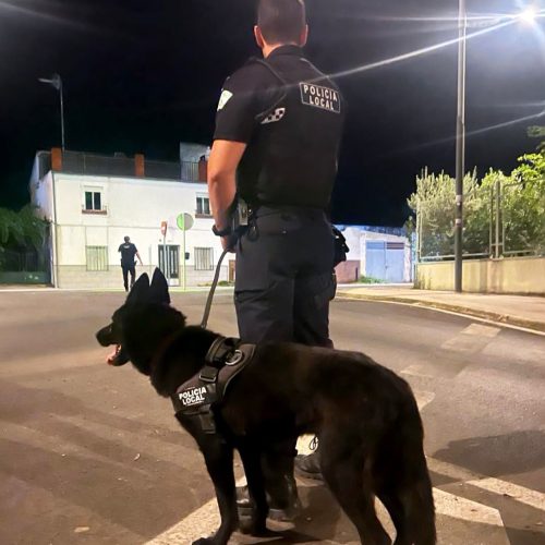 Refuerzo de la seguridad ciudadana con la unidad canina de la Policía Local