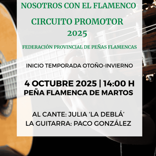 Nosotros con el Flamenco