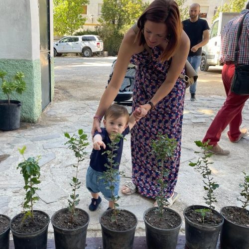 El Ayuntamiento obsequia con un árbol a los menores nacidos en 2022