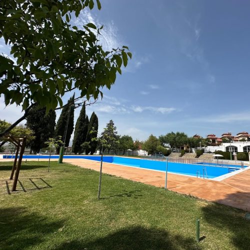 Listado cursos natación 2025